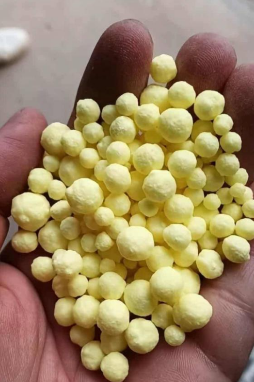 Sulfur Granule di Tangan